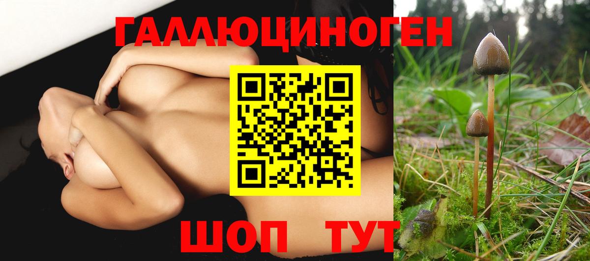 Псилоцибиновые грибы MAGIC MUSHROOMS Татарск