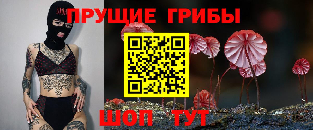 Галлюциногенные грибы ЛСД  Галлюциногенные грибы Psilocybe  Вход с VPN  Татарск 